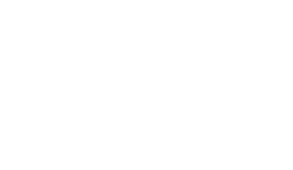 Ageless Aesthetics logo